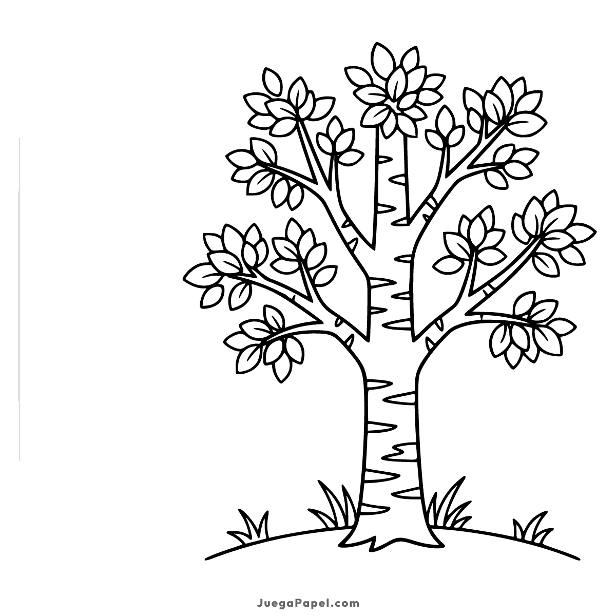 Dibujo para colorear e imprimir de Árbol con Hojas y Ramas para Colorear