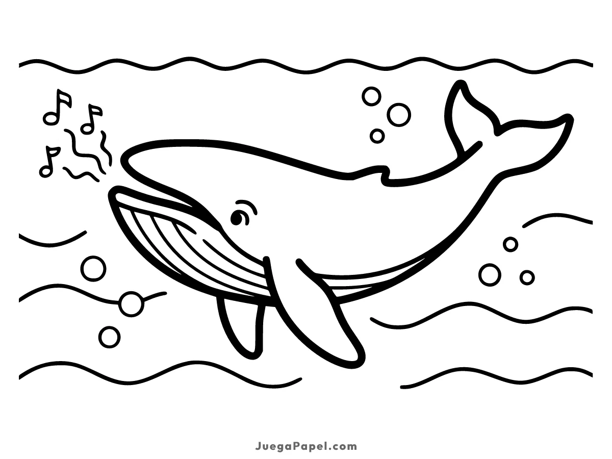 Dibujo para colorear e imprimir de Ballena Jorobada
