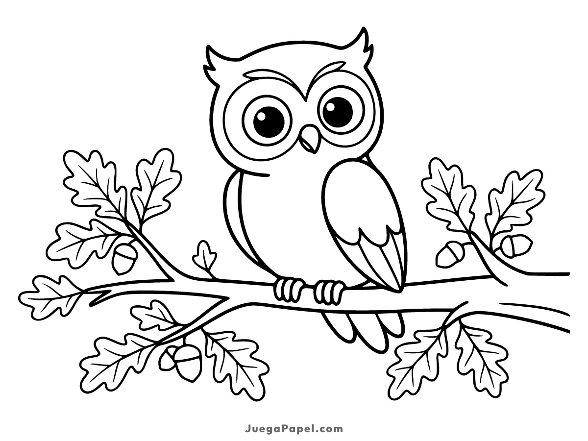 Dibujo para colorear e imprimir de Búho Nocturno