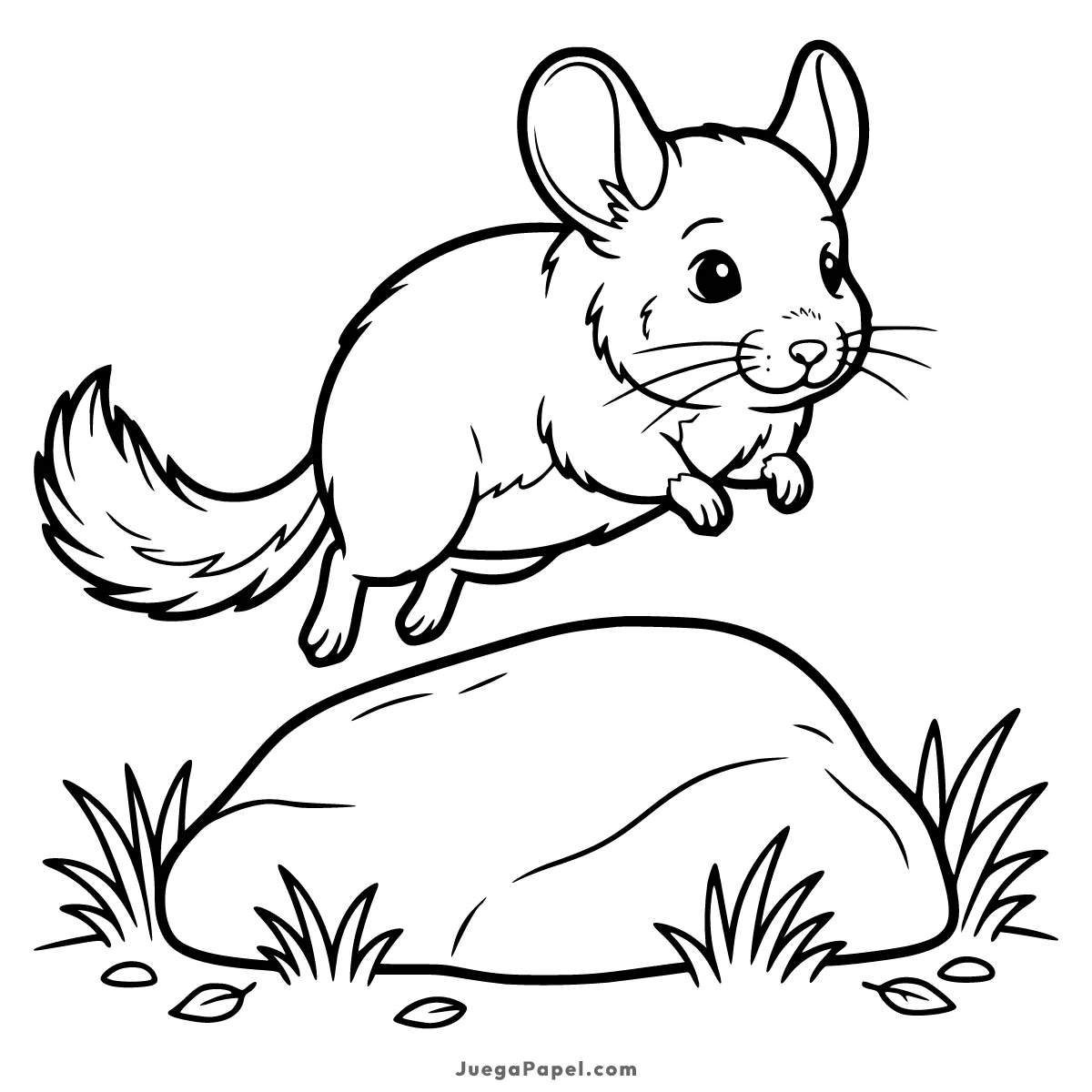 Dibujo para colorear e imprimir de Chinchilla En una Piedra