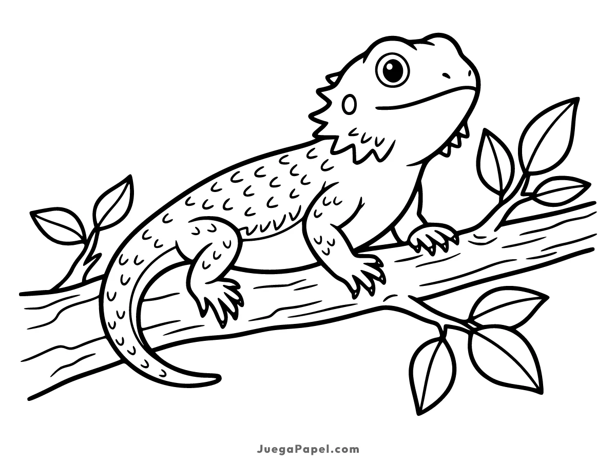 Dibujo para colorear e imprimir de Dragón Barbudo sobre una Rama