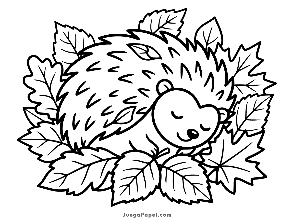 Dibujo para colorear e imprimir de Erizo Durmiendo