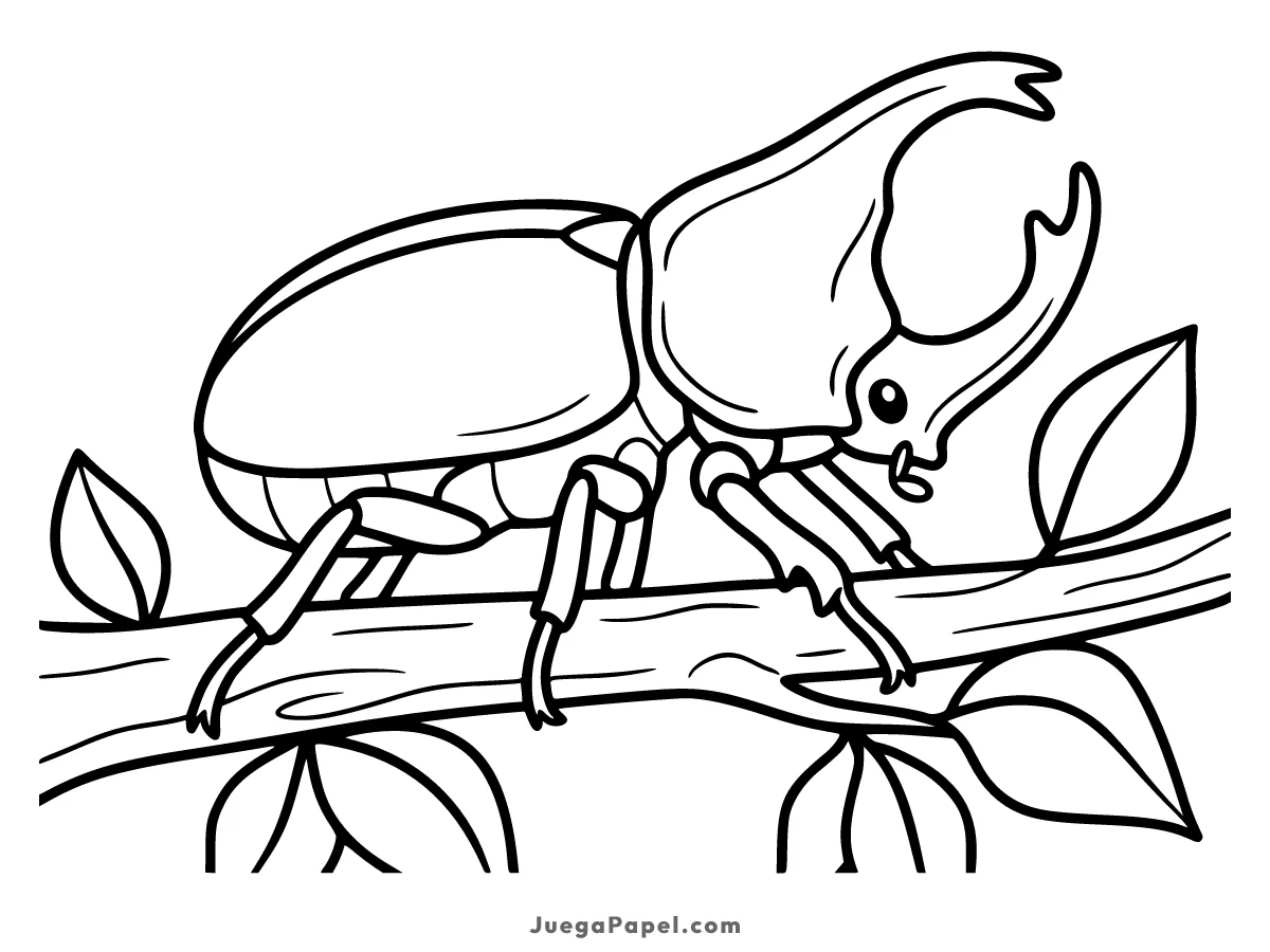 Dibujo para colorear e imprimir de Escarabajo Rinoceronte