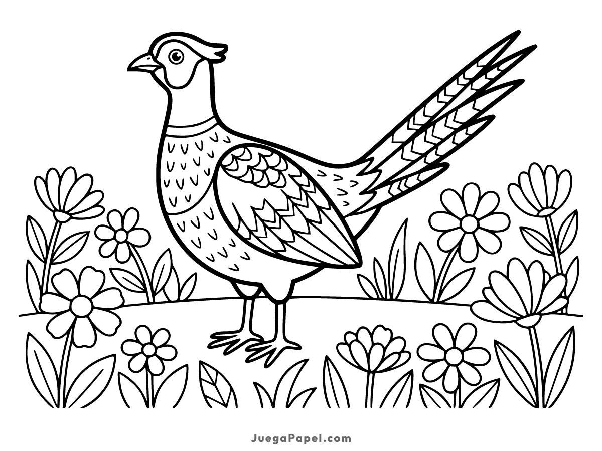 Dibujo para colorear e imprimir de Faisán en el Campo