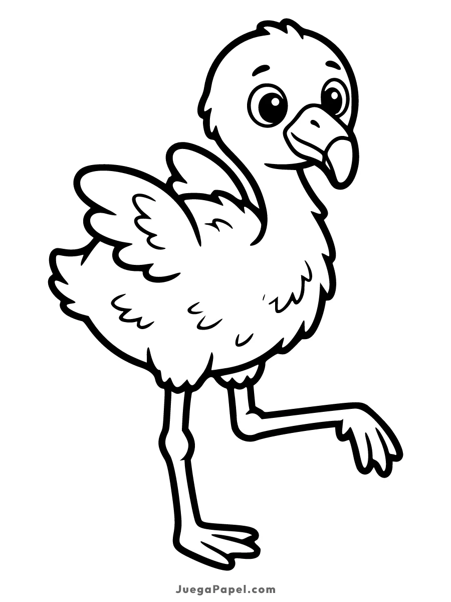 Dibujo para colorear e imprimir de Flamenco Bebe en una Pata