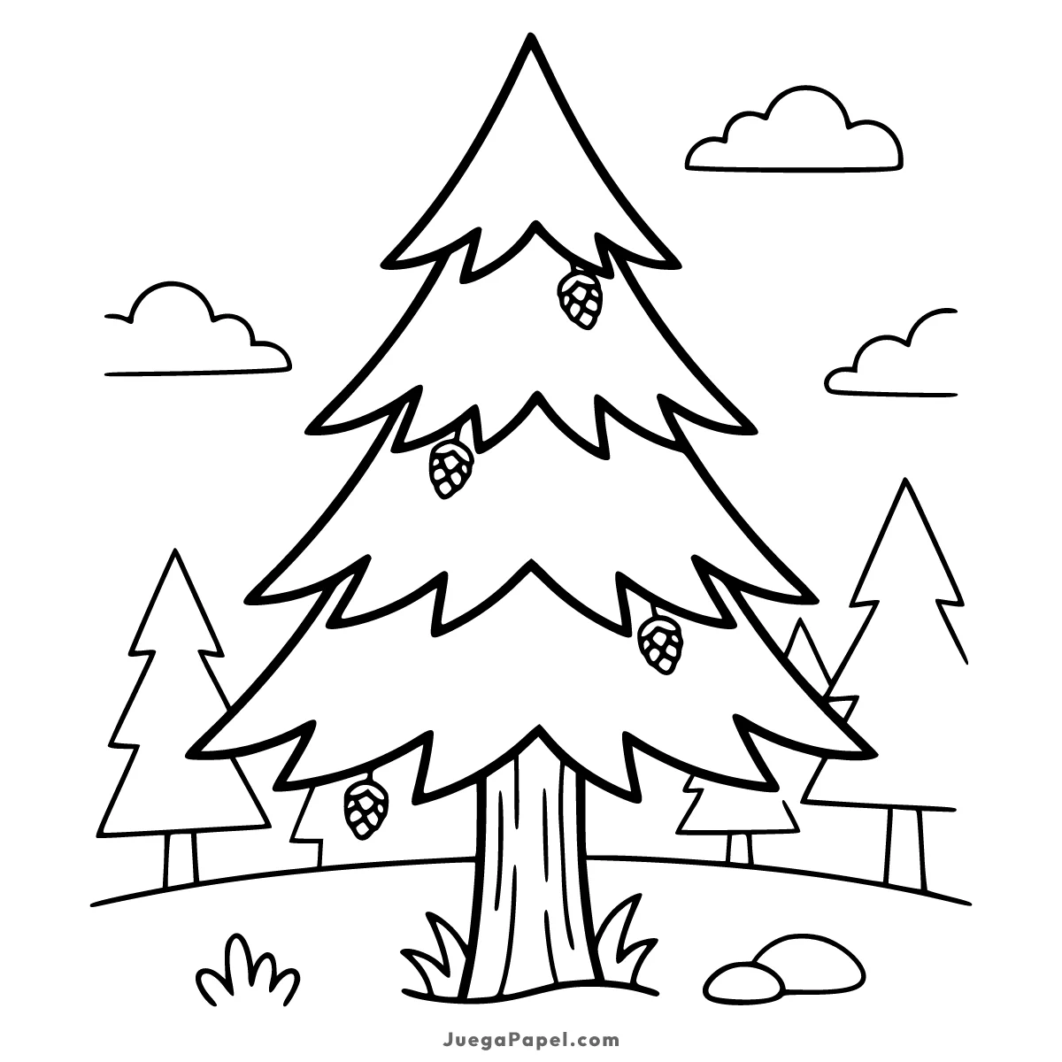 Dibujo para colorear e imprimir de Gran Pino con Piñas en el Bosque