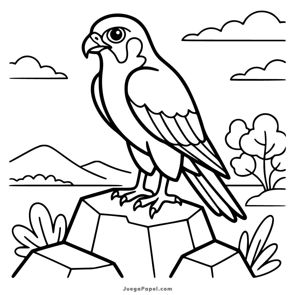 Dibujo para colorear e imprimir de Halcón Peregrino