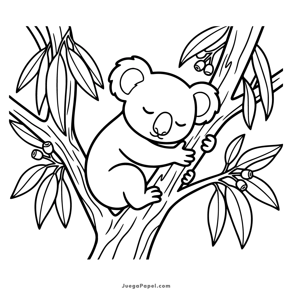 Dibujo para colorear e imprimir de Koala Durmiendo