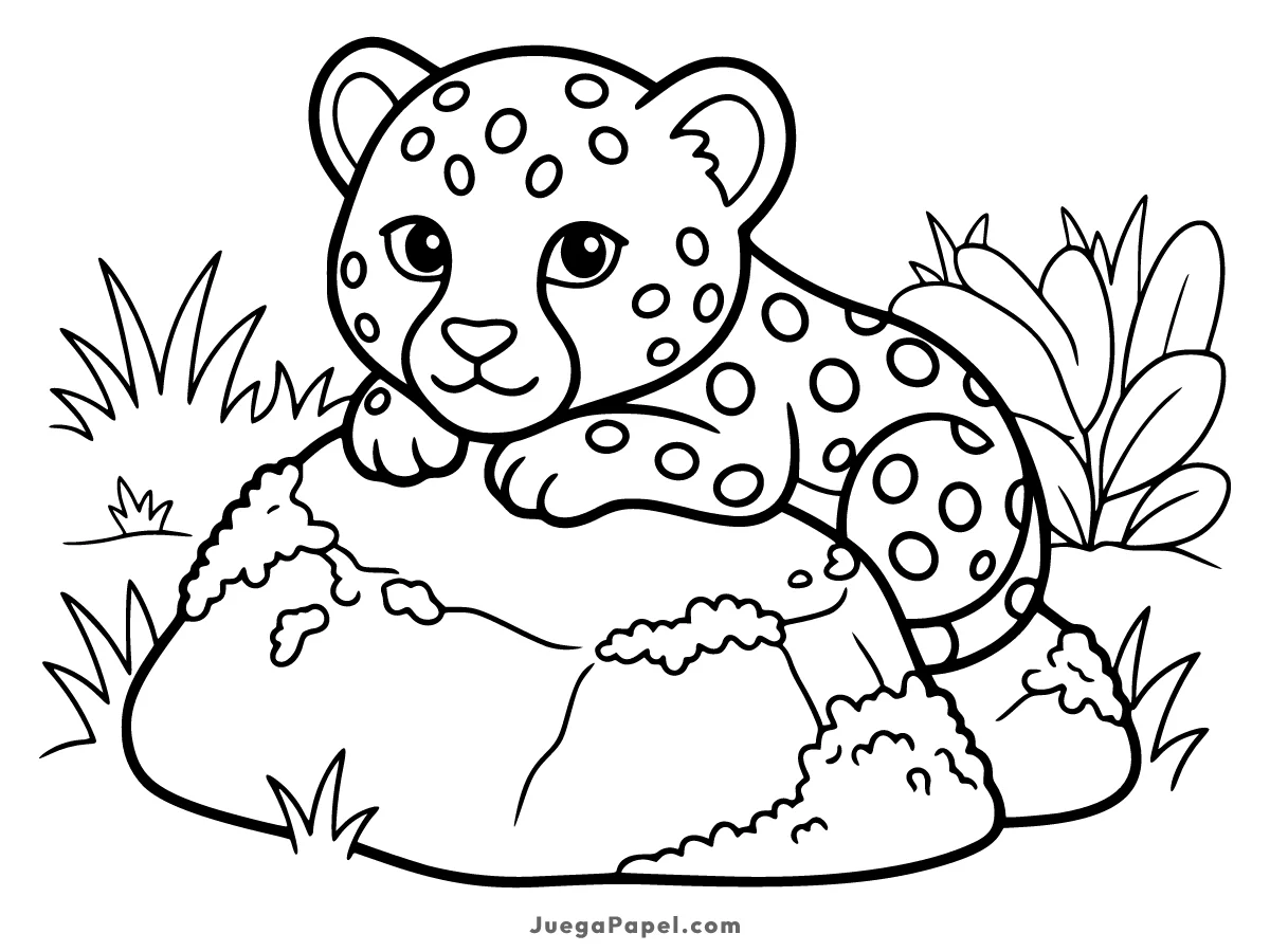 Dibujo para colorear e imprimir de Lepardo tierno sobre una roca