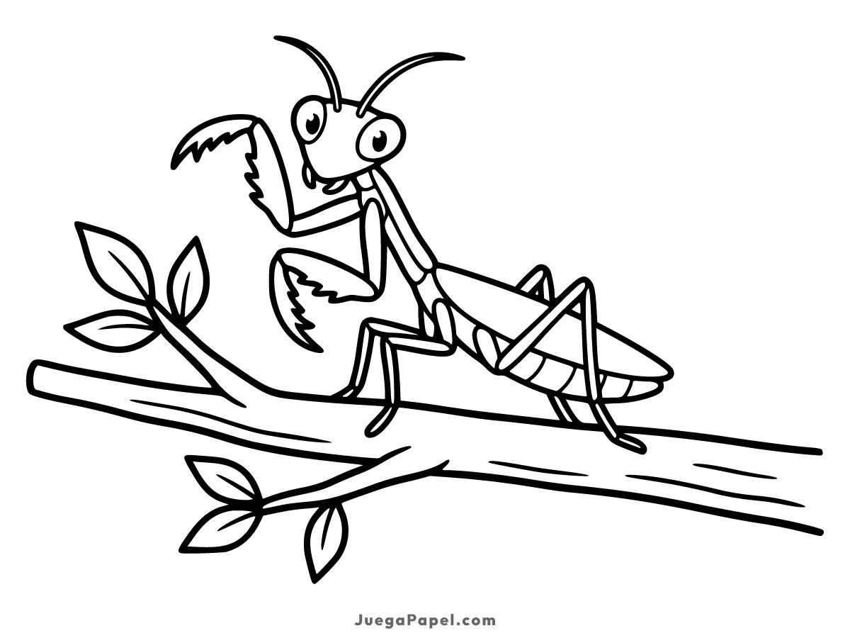 Dibujo para colorear e imprimir de Mantis Religiosa Saludando