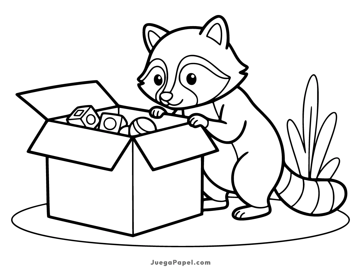 Dibujo para colorear e imprimir de Mapache abriendo una Caja