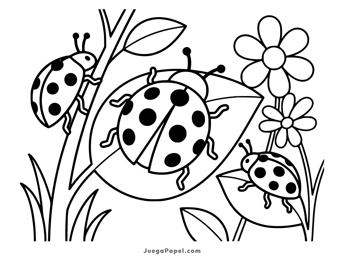 Dibujo para colorear e imprimir de Mariquitas en el jardín