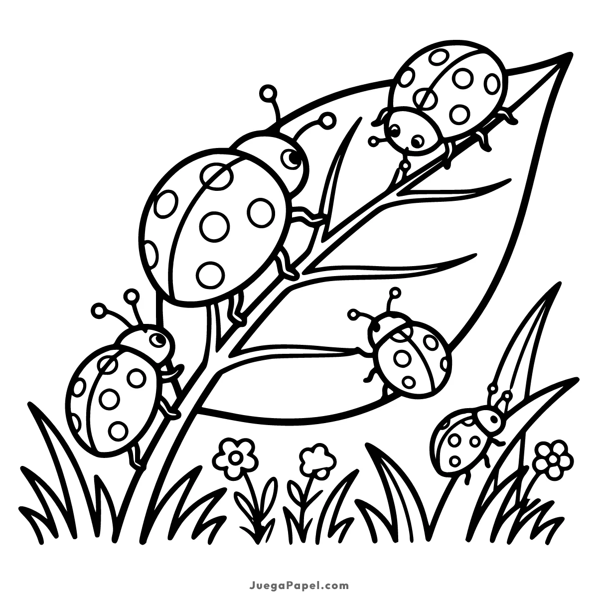 Dibujo para colorear e imprimir de Mariquitas sobre una hoja
