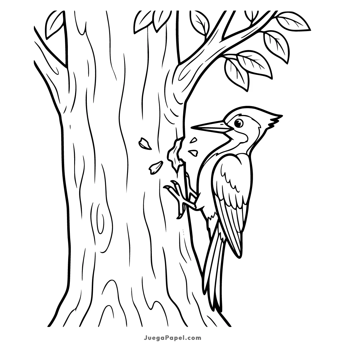 Dibujo para colorear e imprimir de Pájaro Carpintero Picando