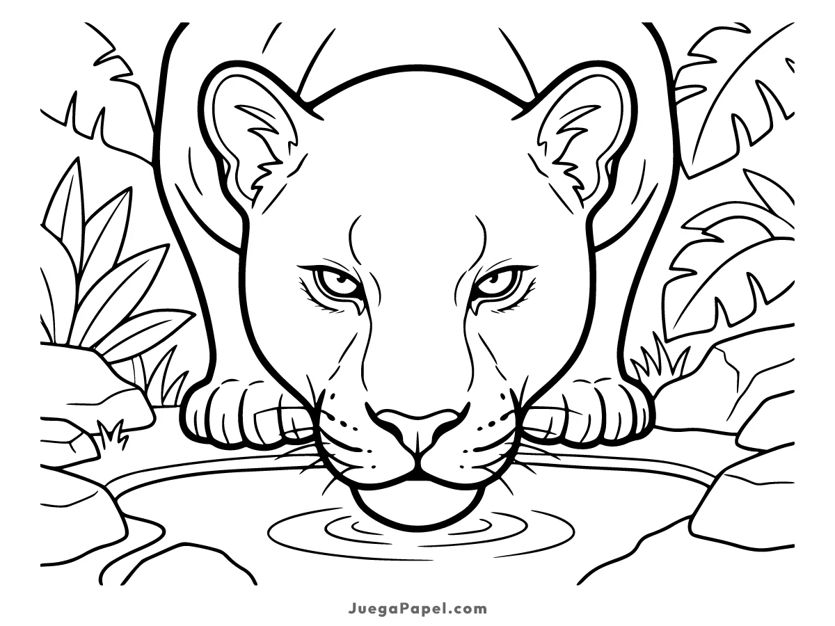 Dibujo para colorear e imprimir de Pantera Bebiendo Agua en la Selva