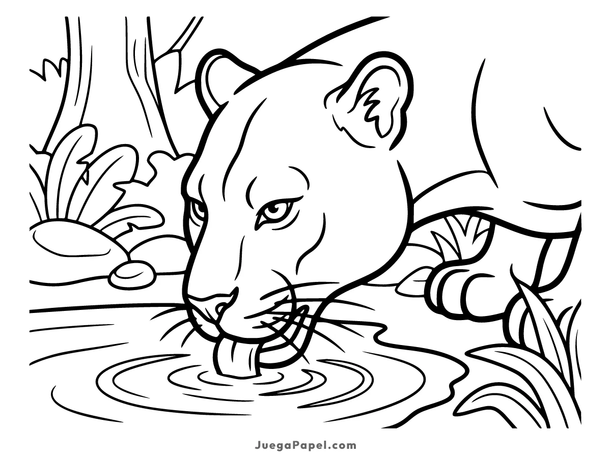 Dibujo para colorear e imprimir de Pantera Bebiendo Agua en la Selva
