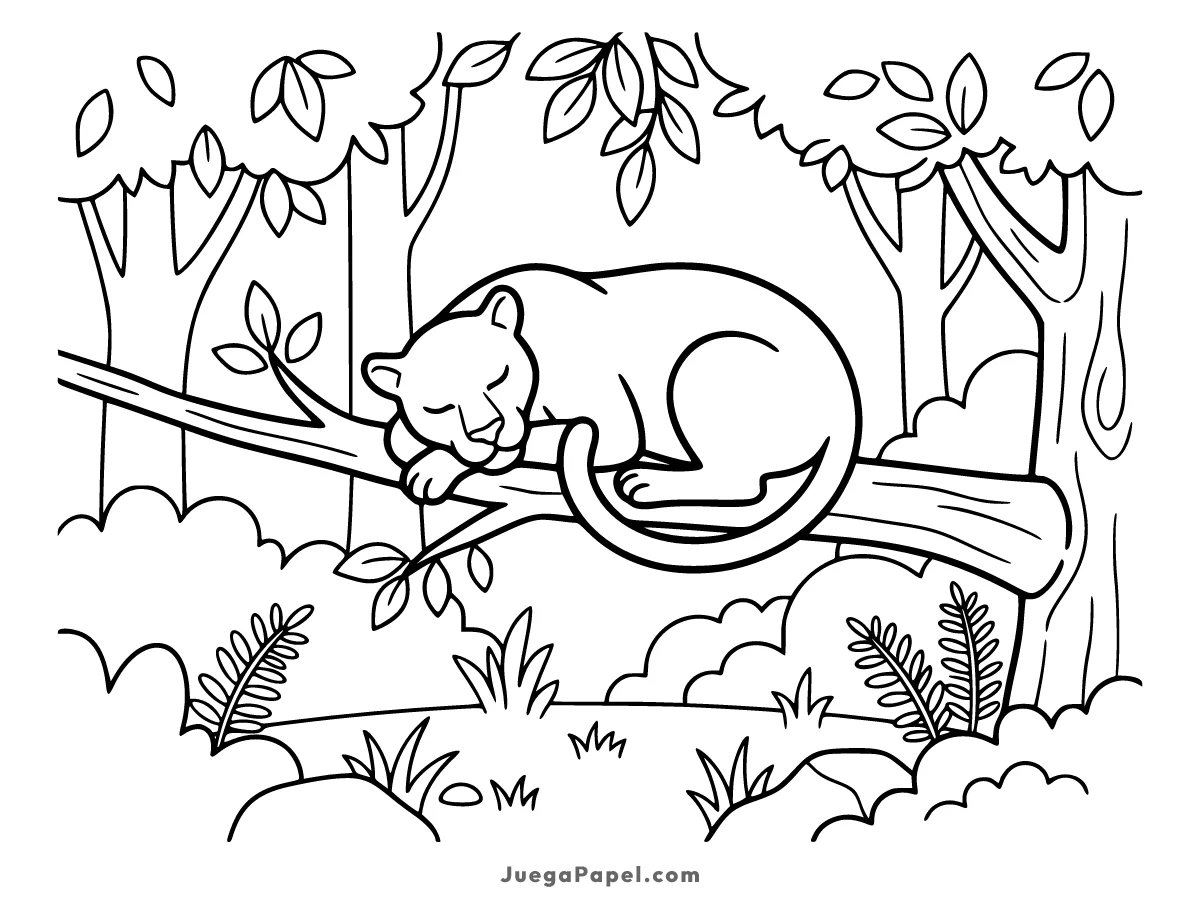 Dibujo para colorear e imprimir de Pantera Durmiendo en una Rama en la Selva