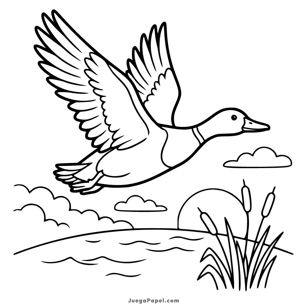 Dibujo para colorear e imprimir de Pato Silvestre Volando
