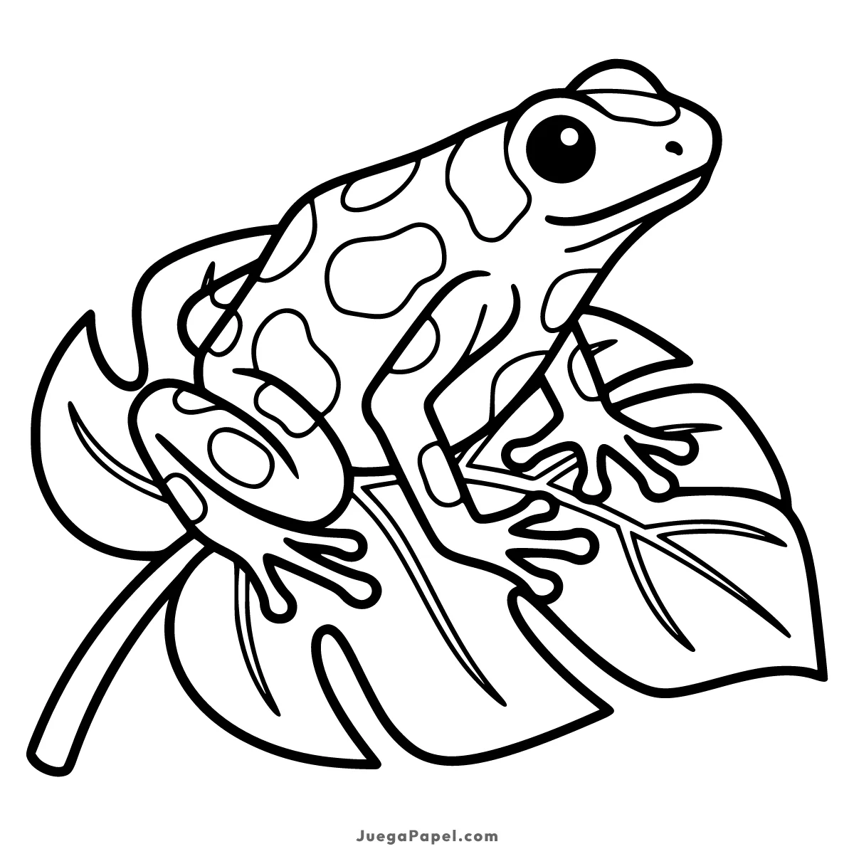 Dibujo para colorear e imprimir de Rana de colores