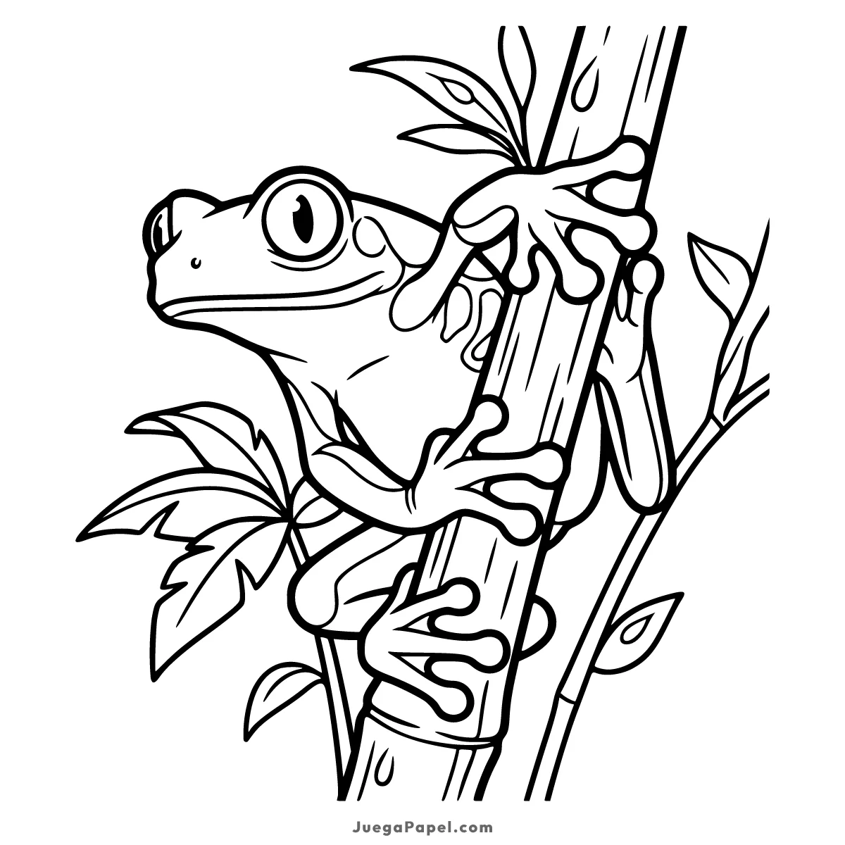 Dibujo para colorear e imprimir de Rana en Rama