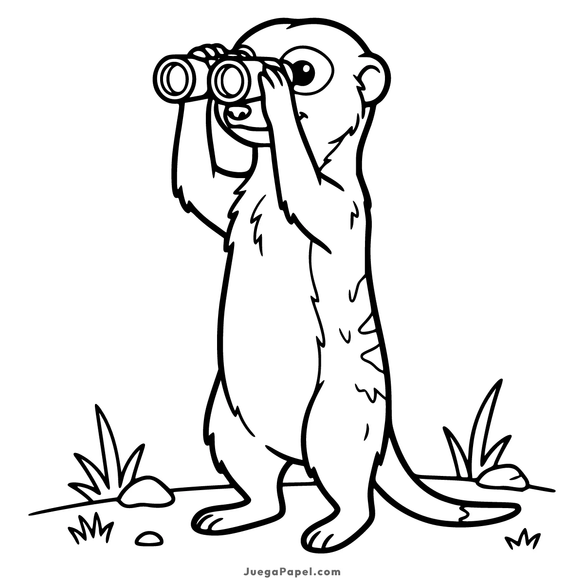 Dibujo para colorear e imprimir de Simpática Suricata con Prismáticos